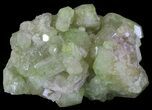 Sparkly Vesuvianite - Jeffrey Mine, Canada #64081-1